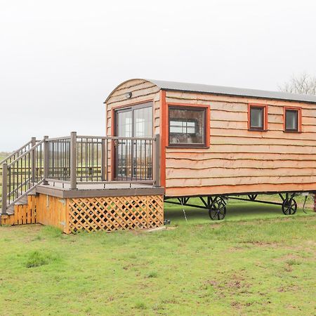 Tal Sarn Shepherd Hut Llanfairpwllgwyngyll Esterno foto